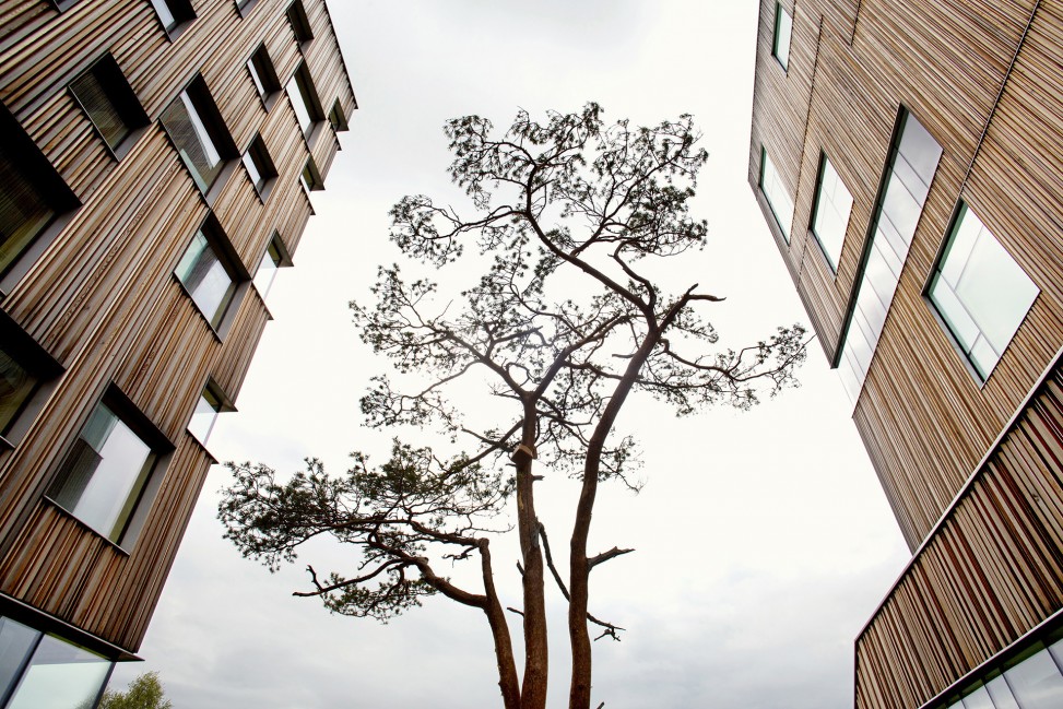 Fotograf Umeå; Johan Gunséus